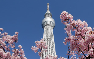 東京スカイツリー開業
